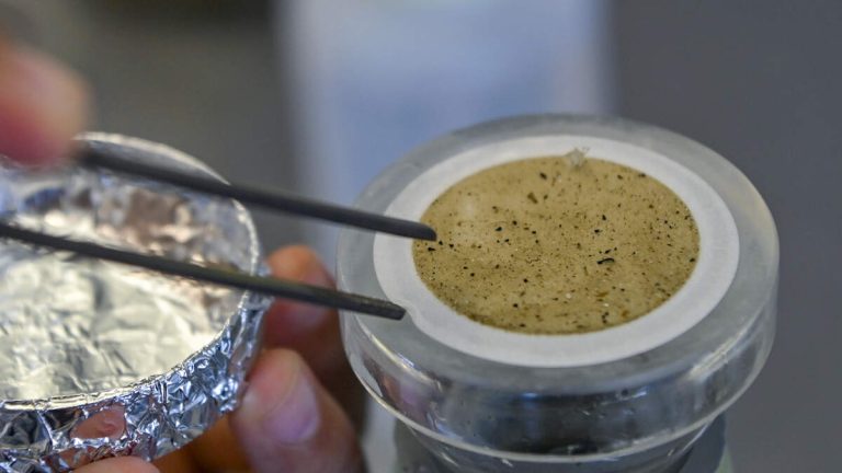 HHS To Study Effects Of Microplastics On The Human Body