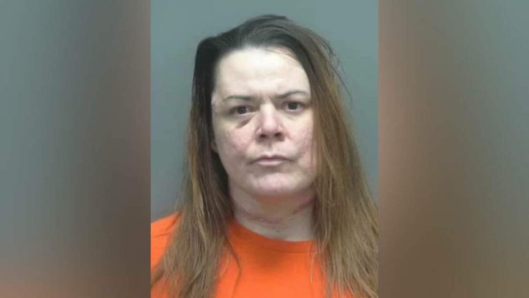 Mother Allegedly Stabbed Daughter To Death To ‘Protect’ Her From Elon Musk