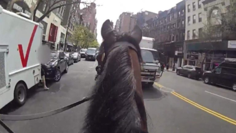 Officer On Horseback Chases Alleged Purse Snatcher Through Busy NYC Streets