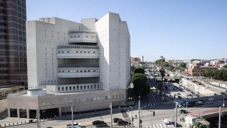 Protester Arrested for Allegedly Spraying Chemical Agent at LAPD Officers