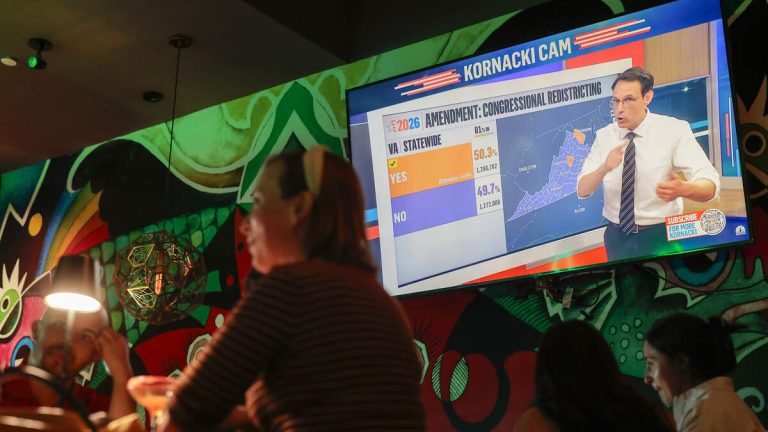 Virginia Voters Approve Democratic Redistricting Plan