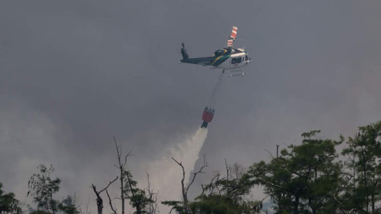 Wildfires Destroy Dozens Of Homes In Georgia, Florida As Evacuations Rise
