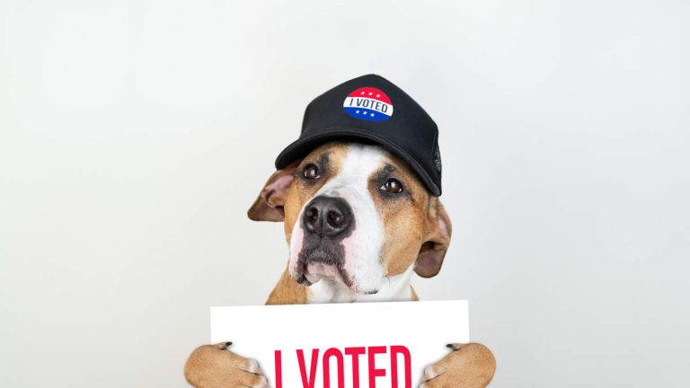 Woman Pleads Guilty to Registering Her Dog to Vote in OC