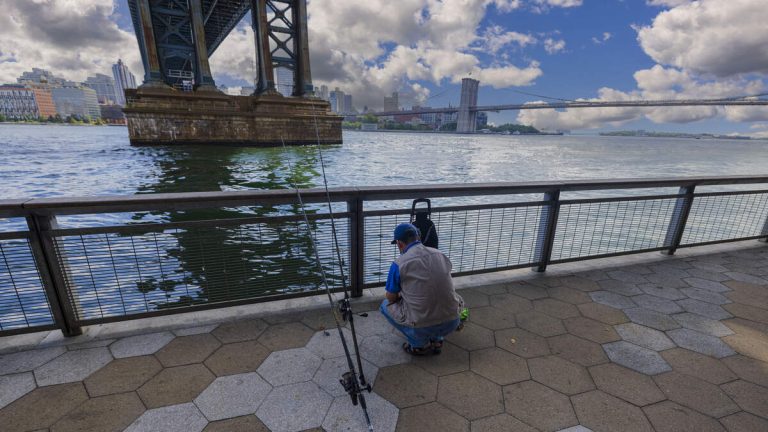 You Can Eat Fish Caught In The Hudson River For The 1st Time In Decades