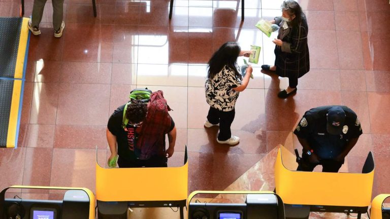 524 More Vote Centers to Open in LA County Saturday