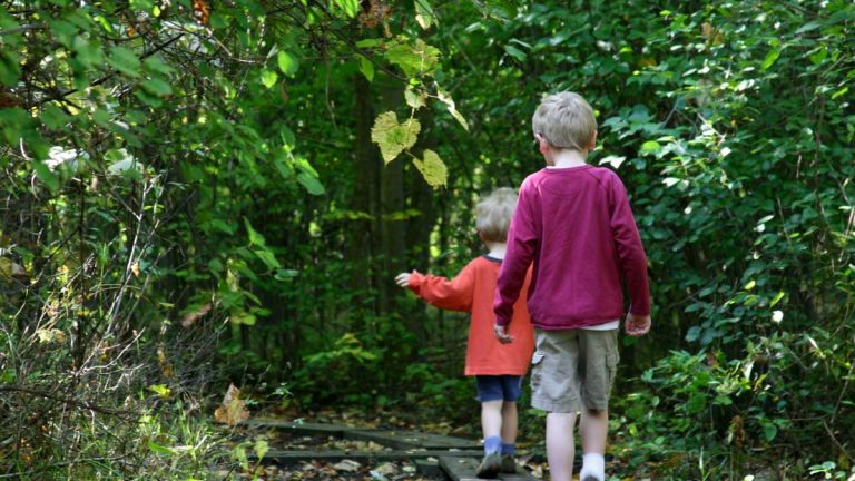 Boys Found On Road After Being Blindfolded, Left In Forest 125 Miles Away