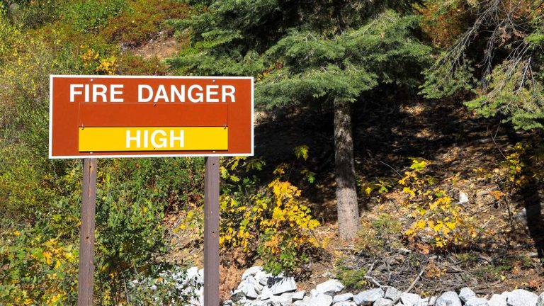 Fire Agencies to Showcase Wildfire Response, Preparedness