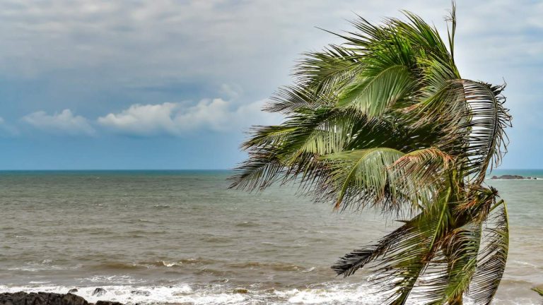 Forecast Model Predicts 100% Chance Of ‘Super’ El Nino Forming This Year