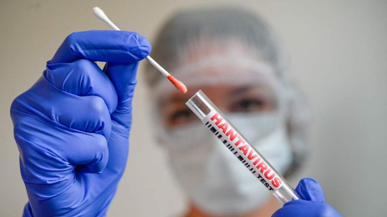 Hantavirus Cases Continue To Rise As Cruise Passengers Forced To Quarantine