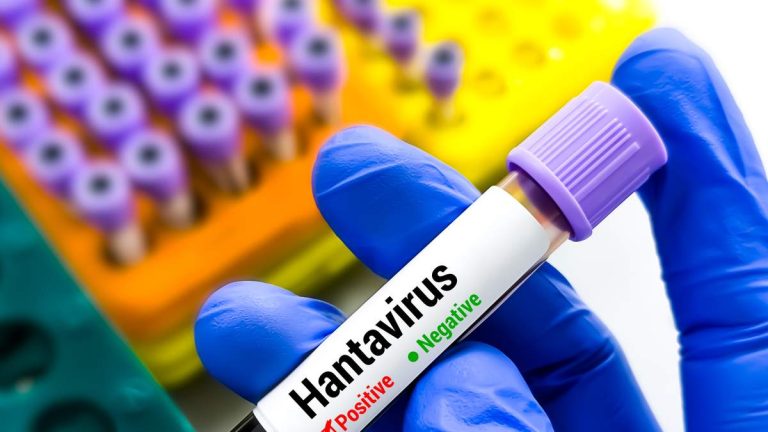 Hantavirus Protocol Breach Forces Hospital Employees Into 6-Week Quarantine