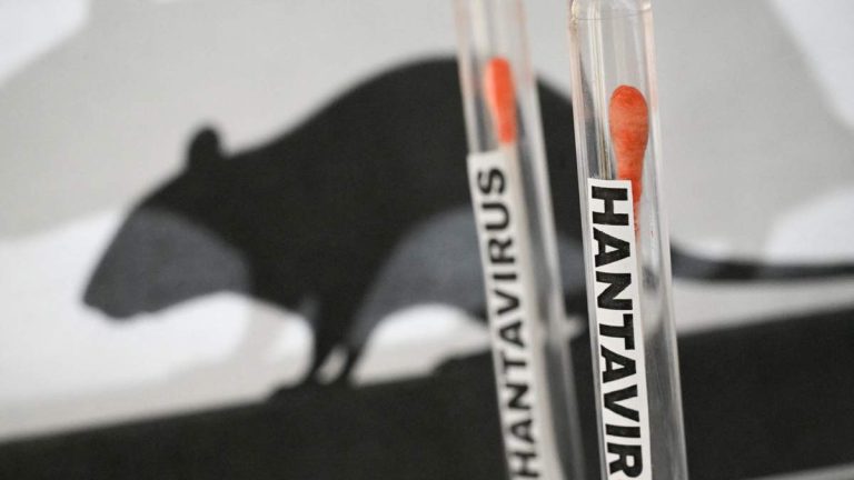Health Officials: No Imminent Local Threat from Hantavirus Outbreak