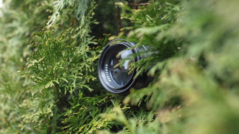 Hidden Cameras Found in SoCal Yards Amid Burglary Probes