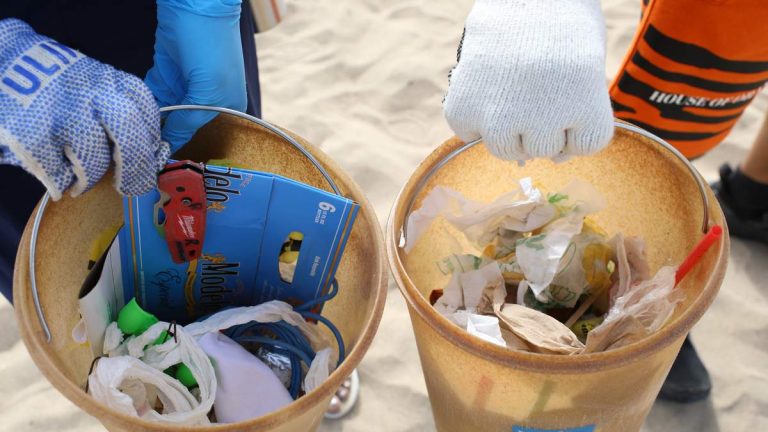 LA Coastal Cleanup Crew Faces Potential Elimination