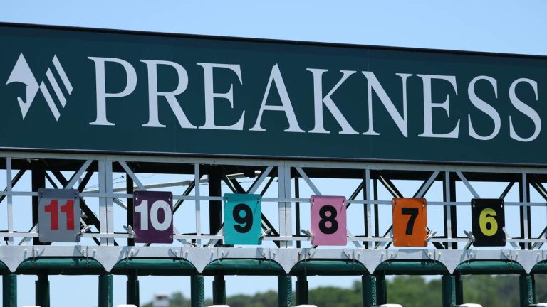 Napoleon Solo Wins The 151st Preakness Stakes