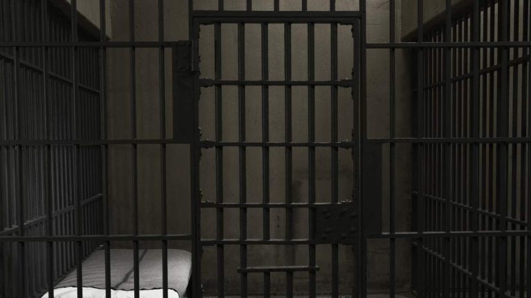 Nonprofit Executive Director Sentenced to Prison for Fraud