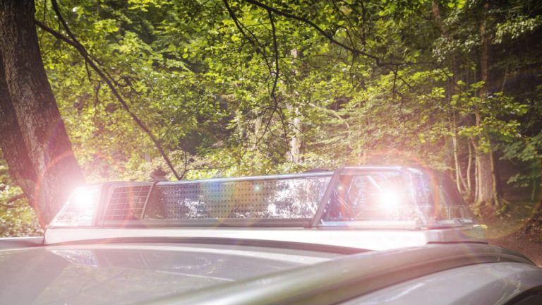 Shooting Near Campground At Arcadia Lake Draws Massive Police Response