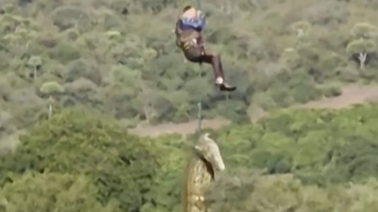 Video Shows Officer Airlifted From River After Retrieving Body Of Crocodile
