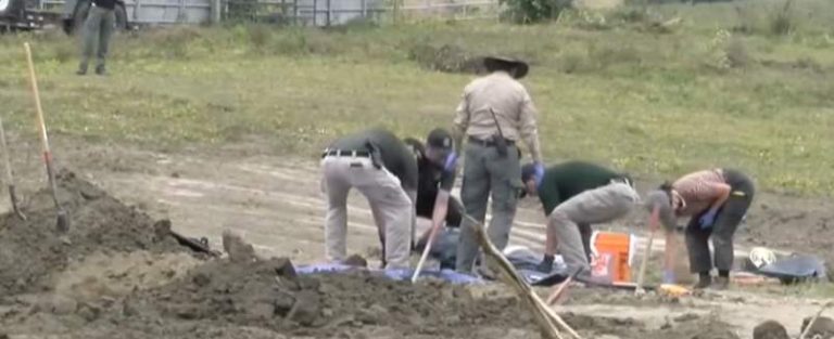 117 Dead Dogs Found At California ‘No-Kill’ Shelter