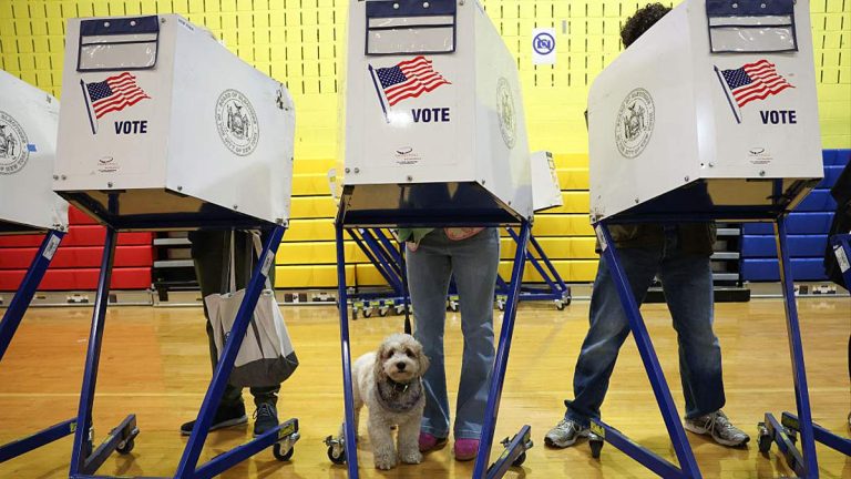2 LACo Board of Supervisors Seats to be Decided by Voters