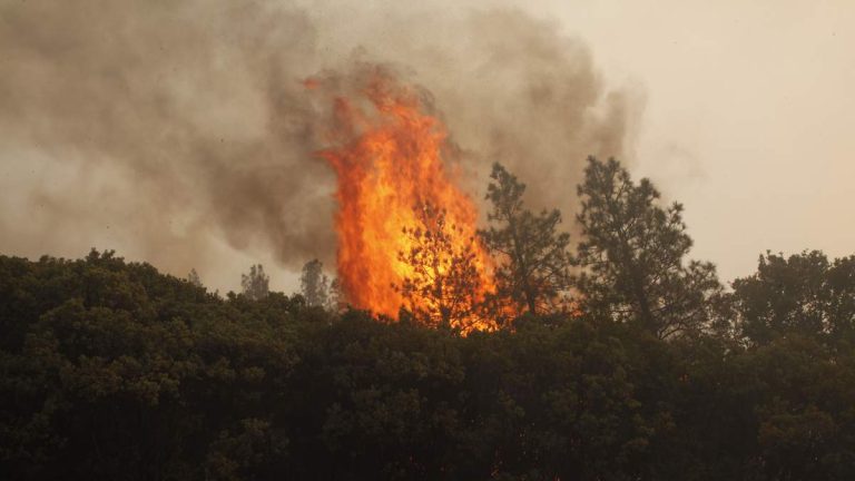 3 U.S. Firefighters Killed Battling Colorado-Utah Fires