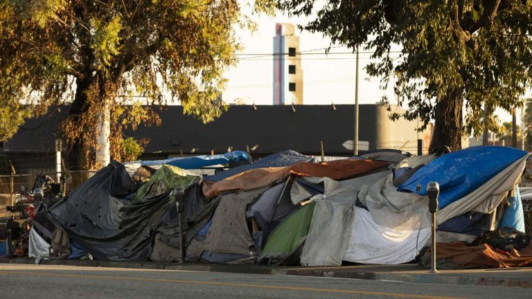 Federal Report: Homelessness Declines in California and Nationwide