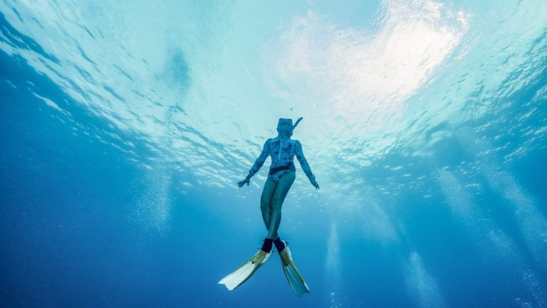 Flight Attendant Killed In Possible Boat Strike While Snorkeling In Florida