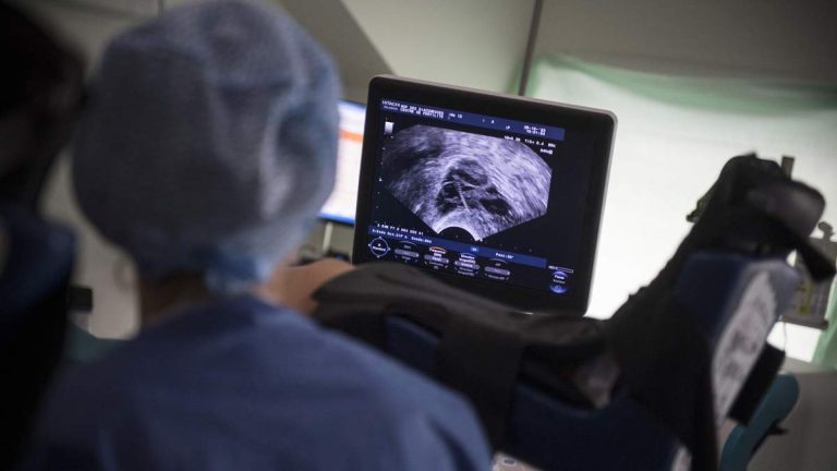 Florida Couple in IVF Mix-Up to Raise Child