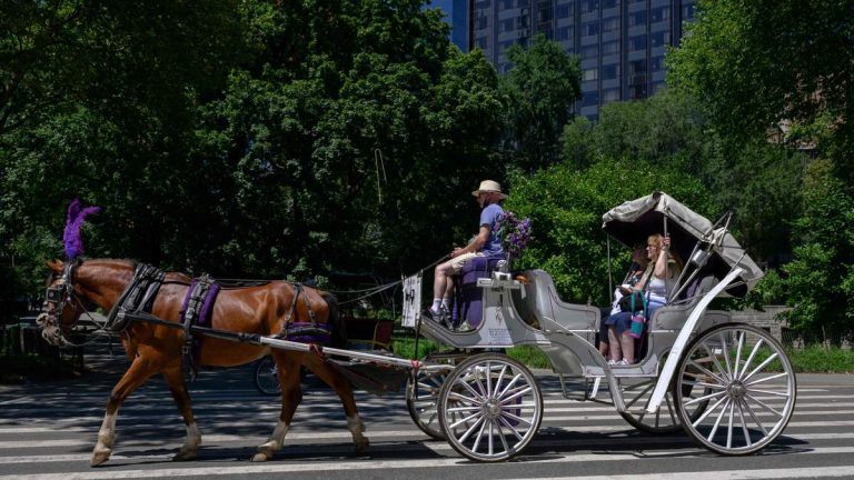 Horse-Drawn Carriage Rides Resume In Central Park