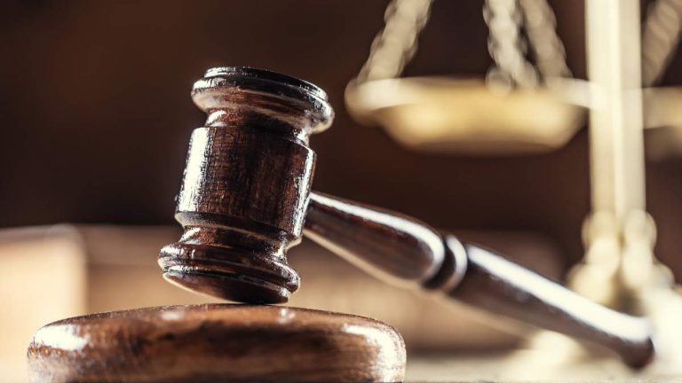 Irvine Dog Trainer Convicted of Killing 11 Dogs In His Care
