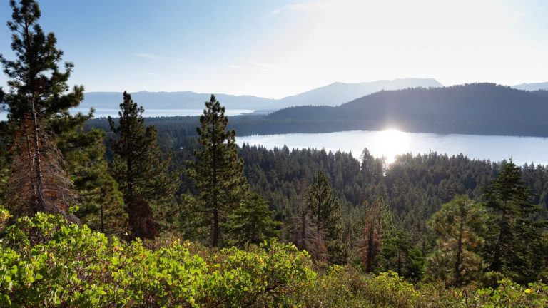 Massive Search Continues For 60-Year-Old Hiker Missing For Over A Week