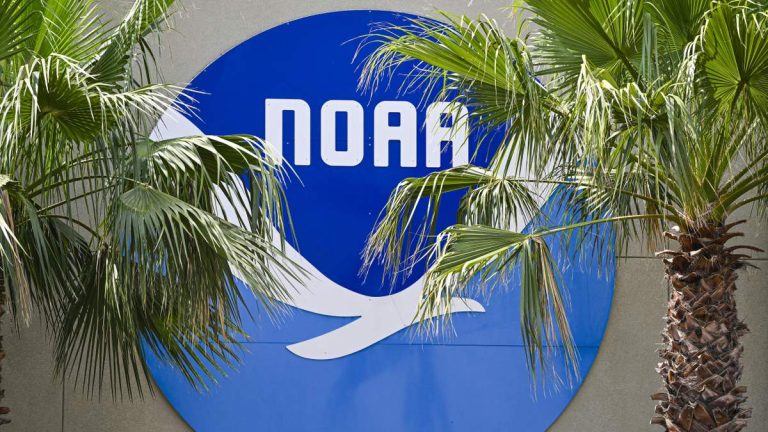 NOAA Warns of Strong El Nino Conditions Forming