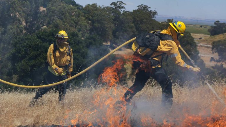 Prescribed Burn Planned in Santa Monica Mountains