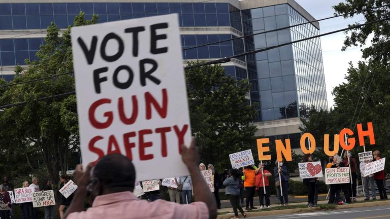 State Judge Blocks Virginia Assault Weapons Law