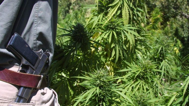 Supreme Court Rules On Law Barring Illegal Drugs Users From Having Guns