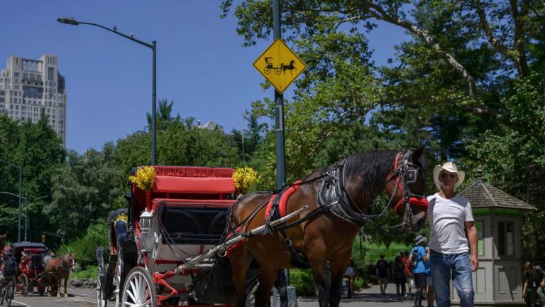 Tourist Killed After Horse-Drawn Carriage Flips Over In New York City