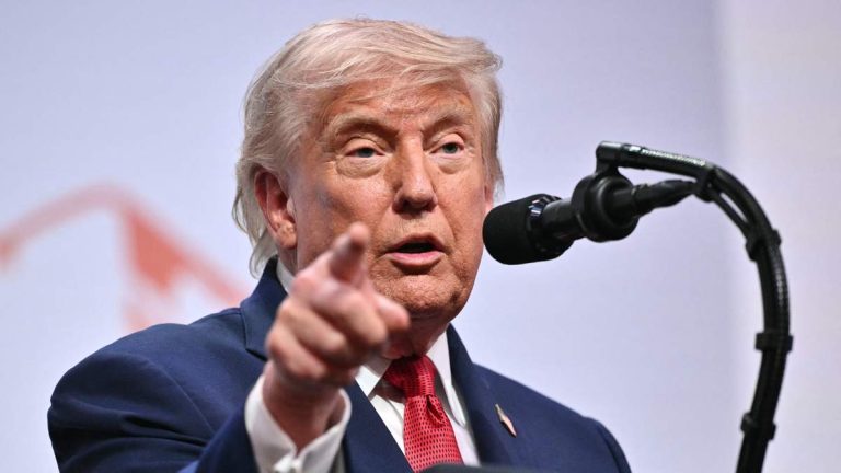 Trump Settles Lawsuit Against Niece Over Tax Leak