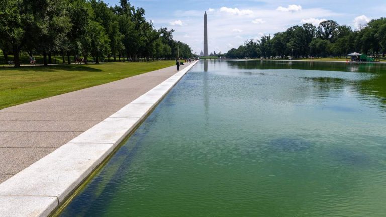 U.S. Olympian Arrested for Allegedly Vandalizing Reflecting Pool