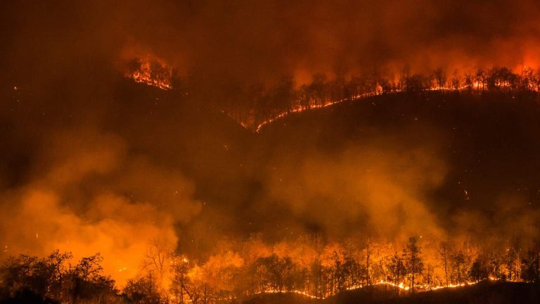 UCLA Study: High-Severity Wildfires Burn 30 Times More Area Than in 1985