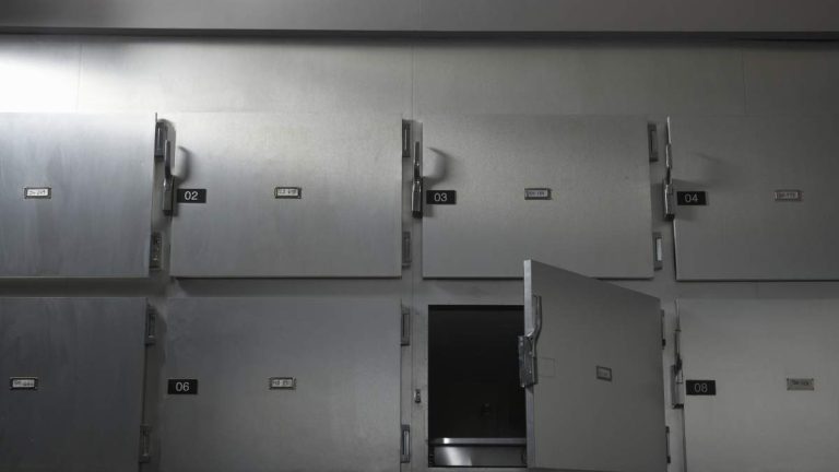 Arizona Toddler Found Alive In Morgue Six Hours After Declared Dead