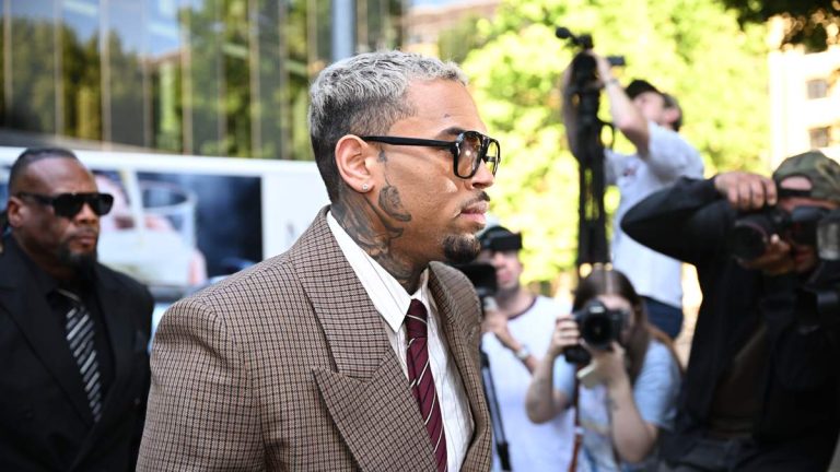 CA Jury Orders Chris Brown To Pay Housekeeper $13M Over Dog Attack