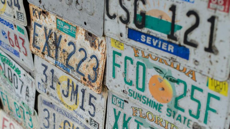 DMV Issues Elderly Florida Woman A Racy License Plate