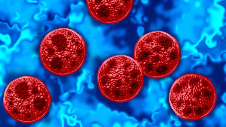 FDA Investigating Another Cyclospora Outbreak