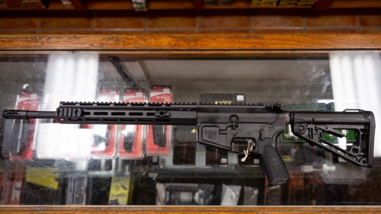 Federal Court Rules NJ Assault Weapons Ban Violates 2nd Amendment