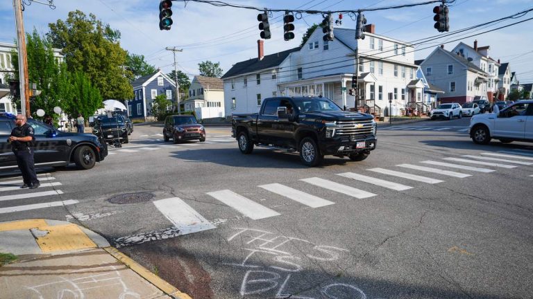 ICE Halts Most Vehicle Stops After Fatal Shootings