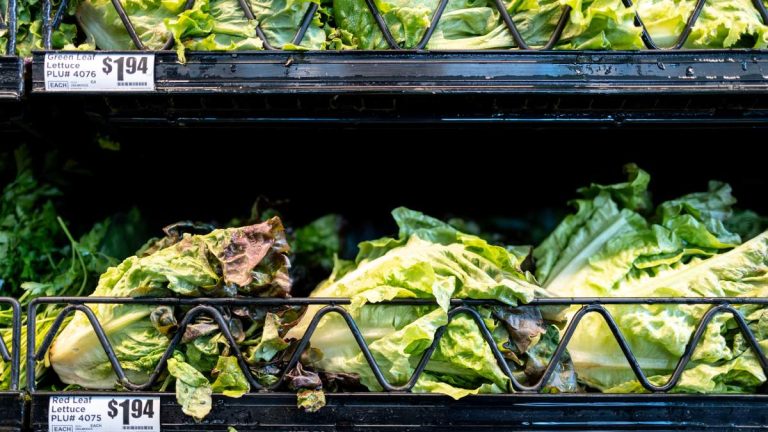 Lettuce, Salad Greens May Be Source Of Michigan’s Outbreak