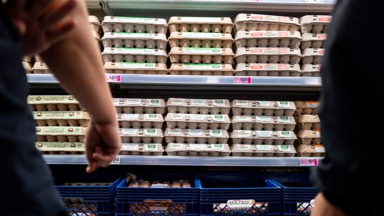 Nearly 1.6 Million Eggs Recalled Over Salmonella Risk