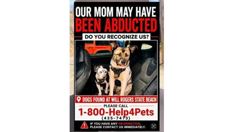 Search Is On For Owner Of Dogs Found At Will Rogers Beach
