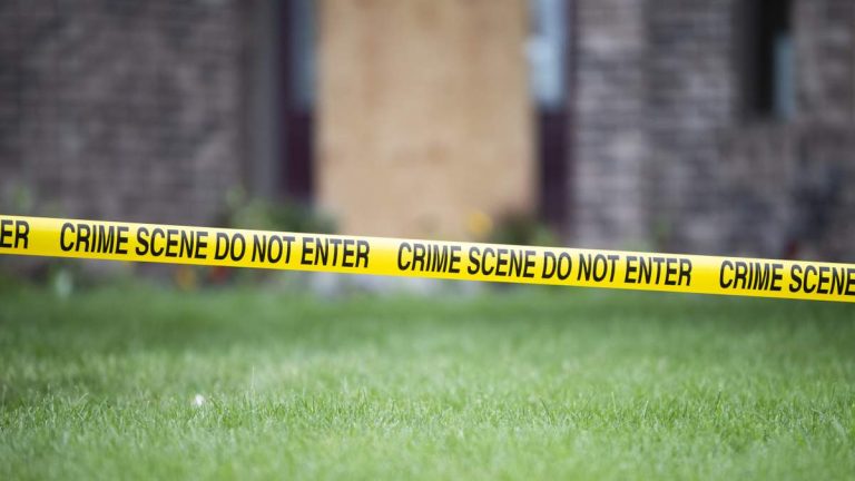 Shooting At Michigan Mall: 2 Dead