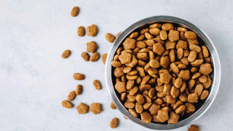 Urgent Recall For Top-Selling Dog Food That Could Seriously Injure Your Pet