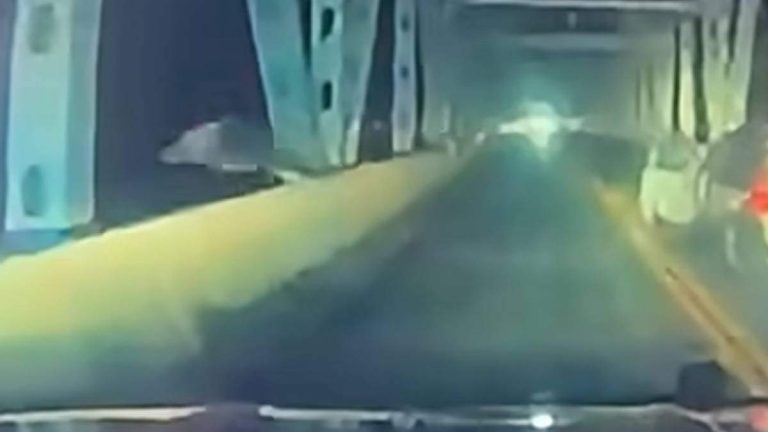 Video Shows Missouri Man Dive Off Bridge Into Lake After Police Chase